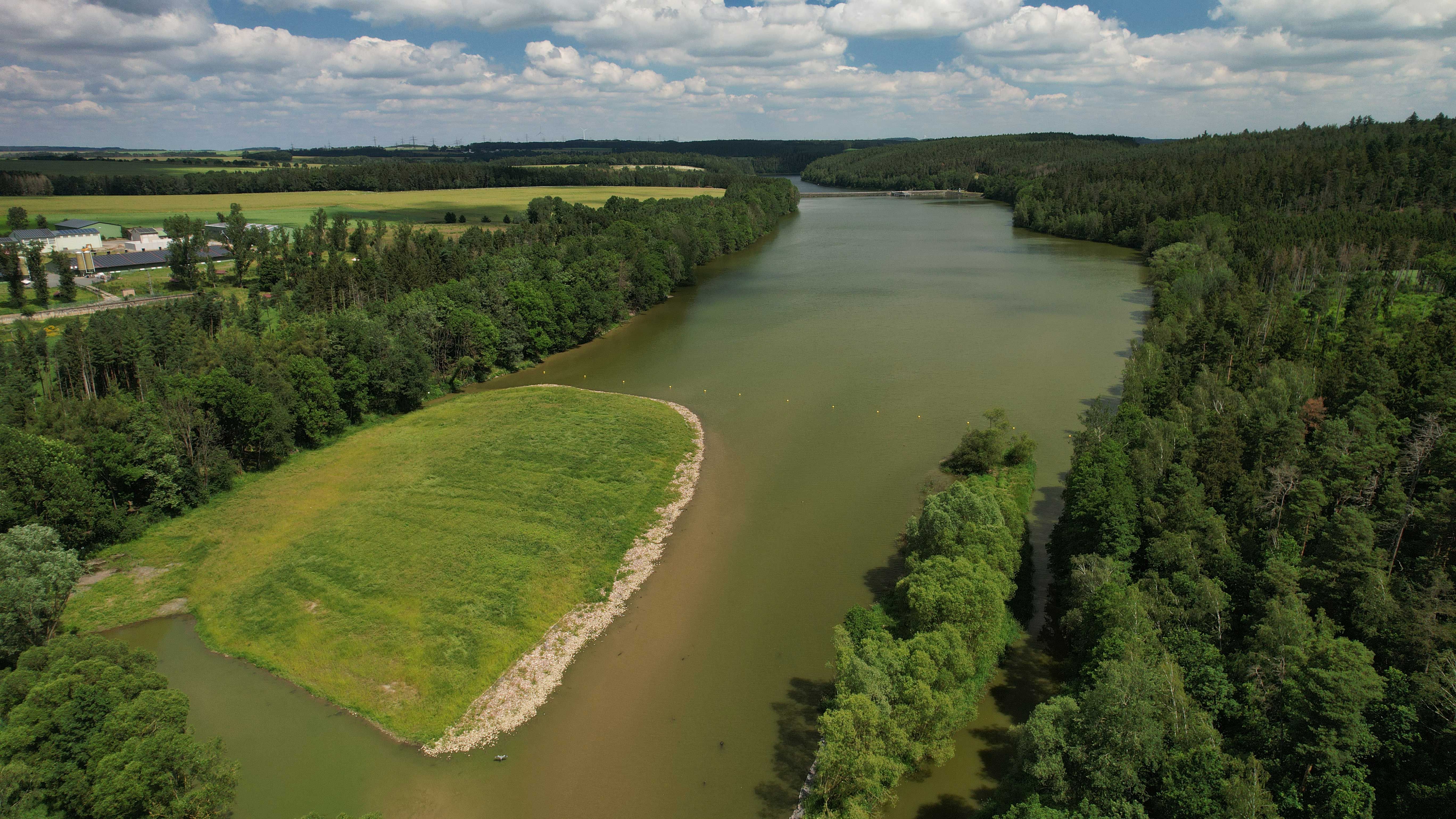 Luftaufnahme der Vorsperre Riedelmühle, im Vordergrund eine begrünte Halbinsel aus Sedimenten