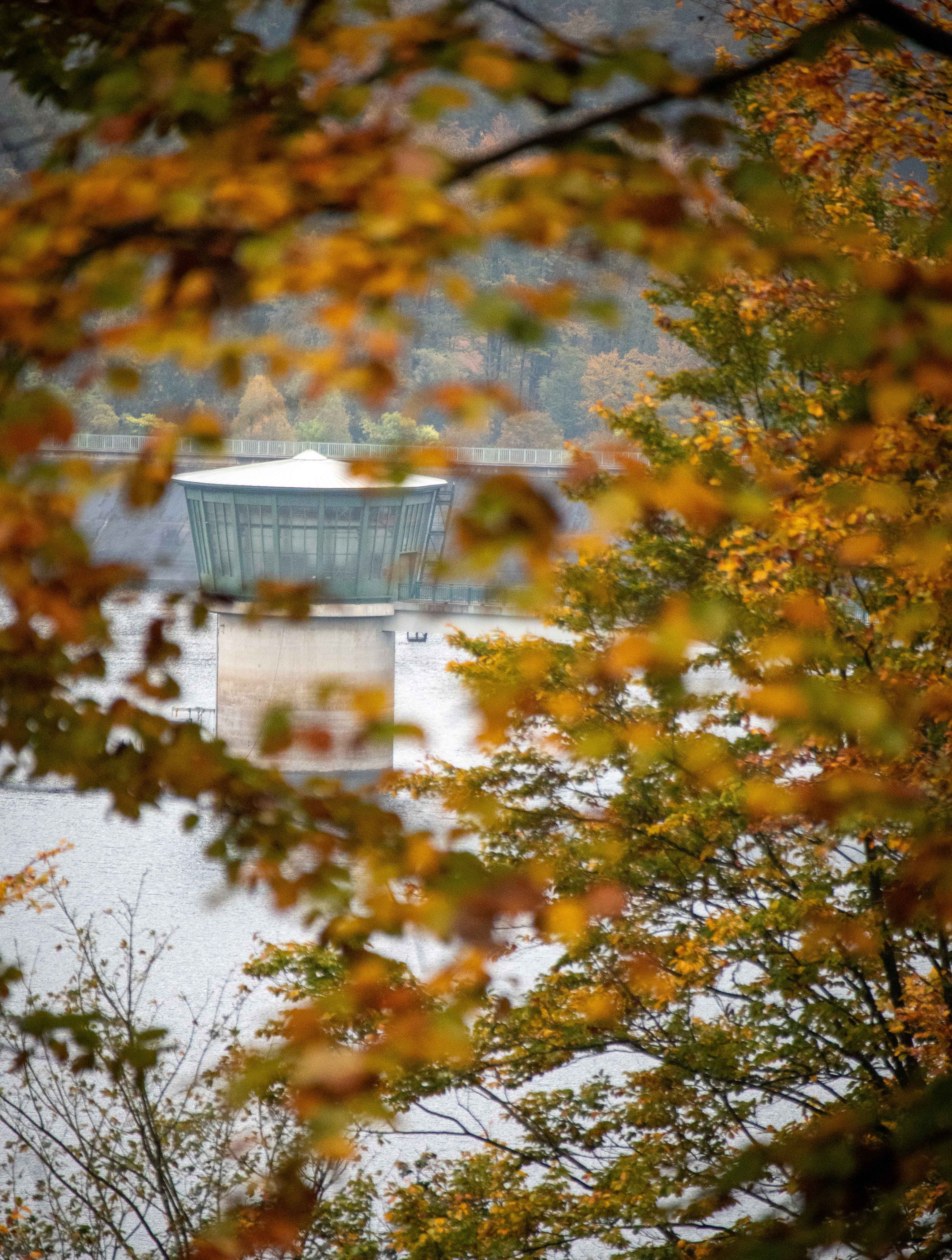 Das bunt gefärbte Herbstlaub an der Talsperre Schönbrunn gibt den Blick auf den Entnahmeturm frei